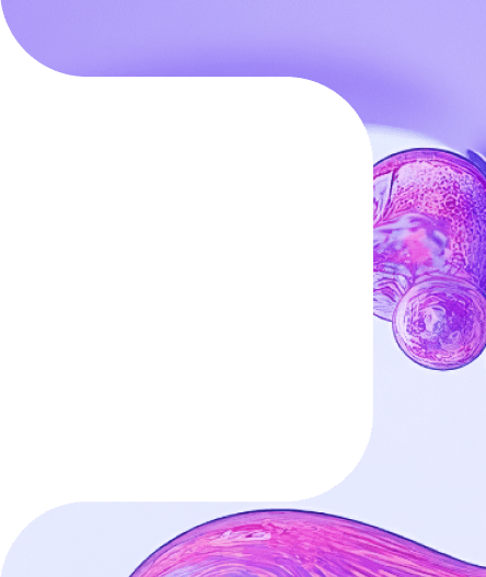 Background visual mid-desktop