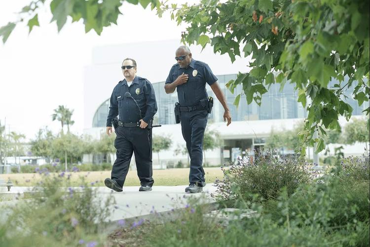 Security & Surveillance Monitoring